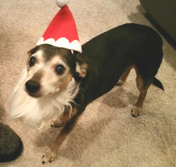 /Images/uploads/Humane Society of Utah/HSUCalendar/entries/836thumb.jpg